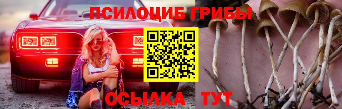 Галлюциногенные грибы прущие грибы Обь